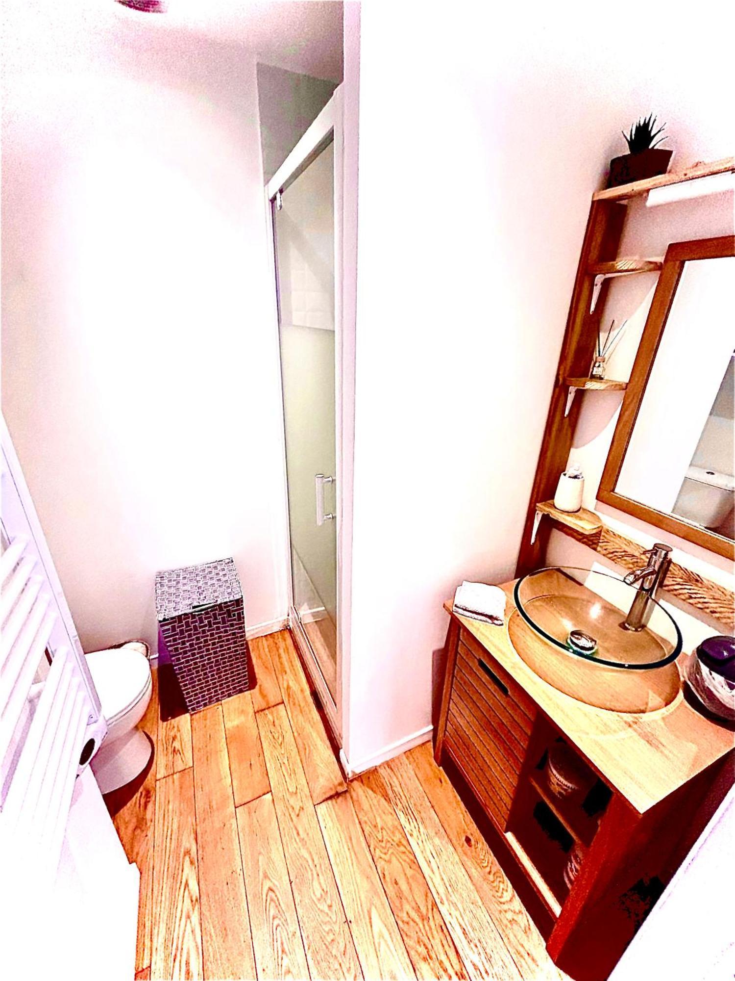 Le Patio Jacuzzi Centre Apartment Toulouse Exterior foto